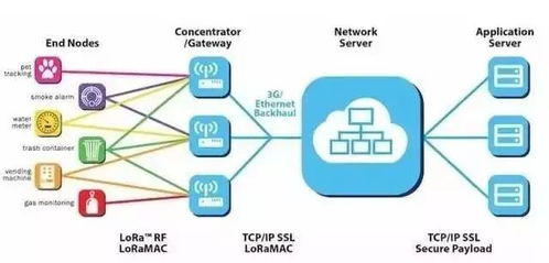 無線通信網(wǎng)絡(luò)之LORA技術(shù)及其在信息系統(tǒng)集成服務(wù)中的應(yīng)用